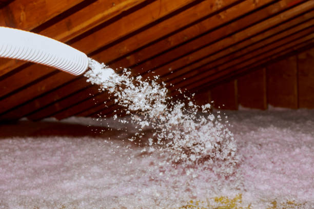 Best Energy Efficiency Insulation in Candler Mcafee, GA