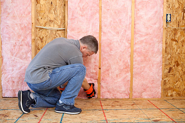 Best Geographic-Specific Insulation Services in Candler Mcafee, GA
